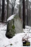 Findling bei Rädikow nahe Bad Freienwalde, Märkisch-Oderland, Brandenburg, (D) (4) 24. Januar 2016.JPG